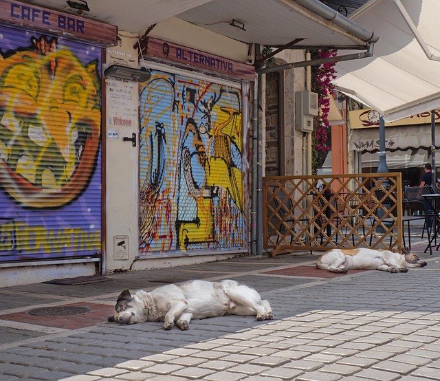 Frokostpausen: Mere end bare mad på tallerkenen